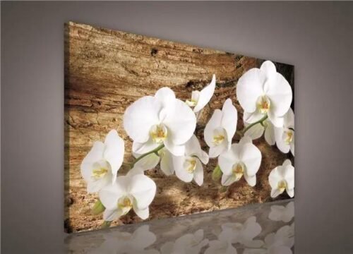 Obraz na plátně bílá orchidej na dřevě