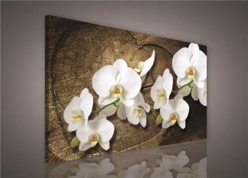 Obraz na plátně bílá orchidej na dřevěném